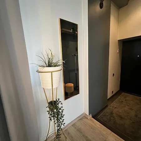Dandelion Avotu Appartement